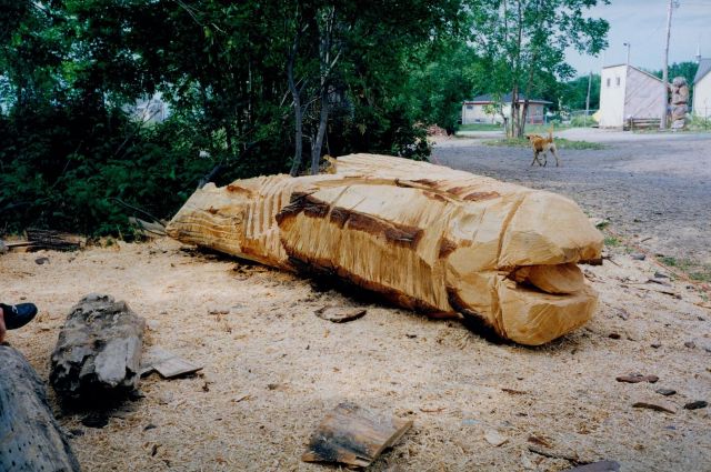 Photo inconnue, 1998, coll. COFEC.