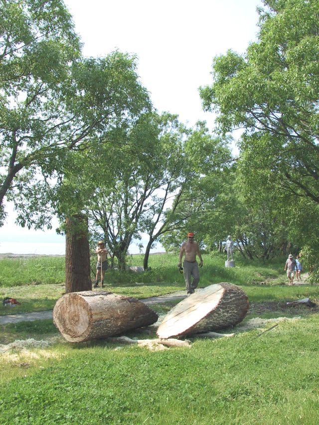 Photo inconnue, 2003, coll. Municipalité de Saint-Jean-Port-Joli.